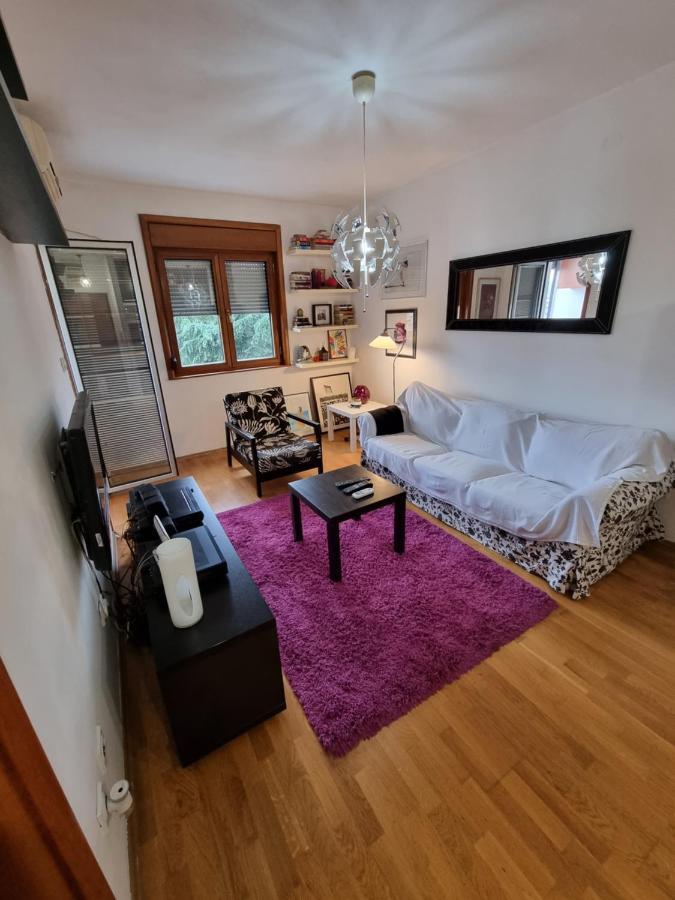 One Bedroom Centre Apartment Podgorica Eksteriør billede